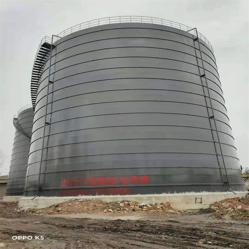 随县3万吨大型钢板库